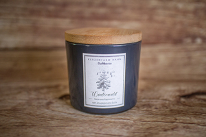 Bougie forêt en hiver  