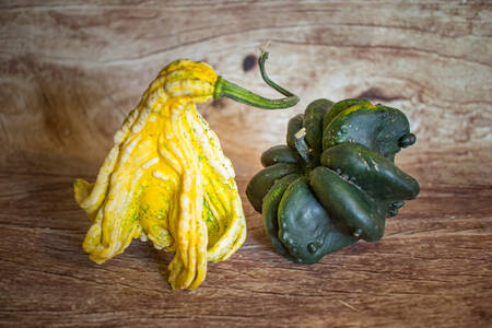 Coloquintes diverses  BIO