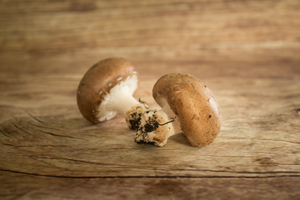 Champignon blanc ou brun  BIO