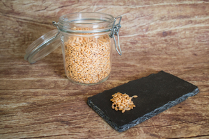 Epeautre en grain  BIO