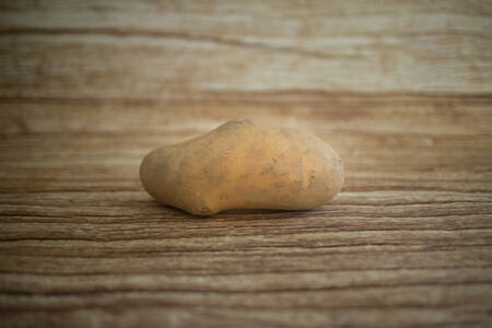 Pomme de terre Victoria ferme  BIO