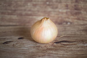 Oignon doux roudoudou  BIO