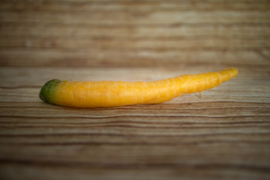Carotte jaune  BIO