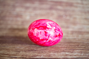 Oeuf dur teinté  BIO