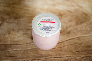yogourt brebis baies de bois 120 g BIO